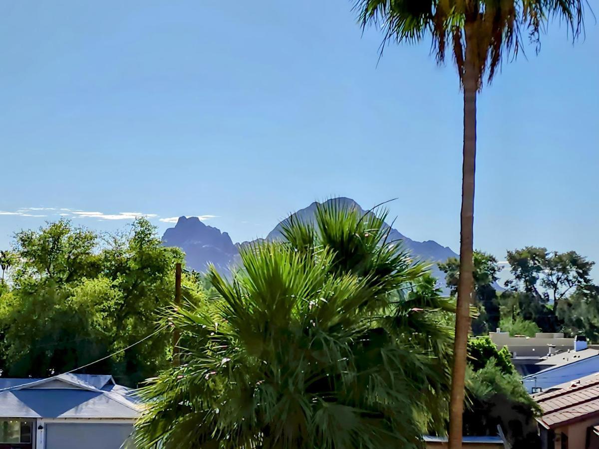 Biltmore Bliss Desert Retreat! Phoenix Exterior photo